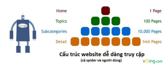  Cấu trúc website