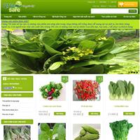 Công ty TNHH Nông nghiệp công nghệ cao QNASAFE ra mắt website rau sạch
