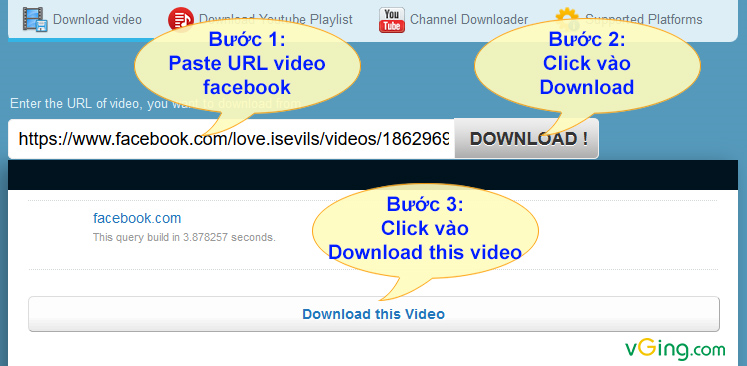  Enter the URL of video, you want to download from