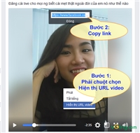 Hướng dẫn cách tải video từ facebook về máy tính